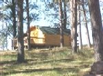 cabin